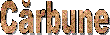 Cărbune